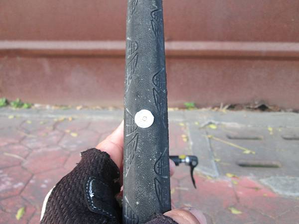 IMG_1092.JPG IMG_1092.JPG