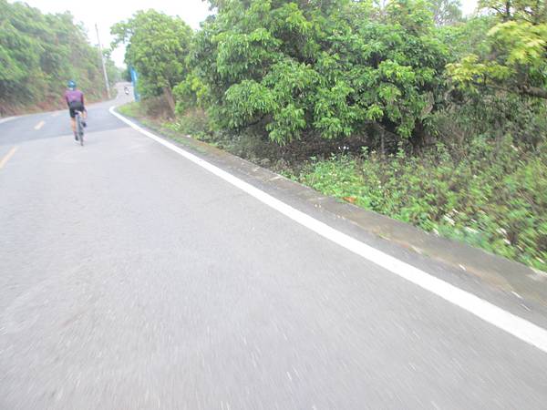 IMG_1582.JPG IMG_1582.JPG