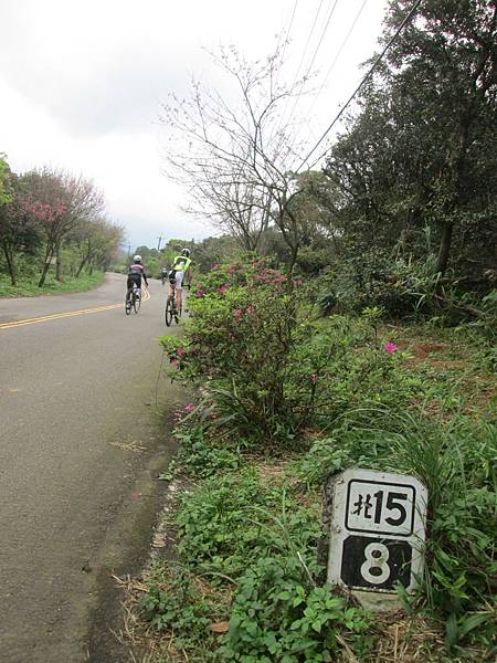 IMG_1706.JPG IMG_1706.JPG