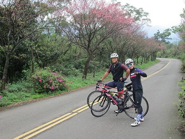 IMG_1711.JPG IMG_1711.JPG