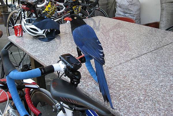 IMG_1003-1.jpg IMG_1003-1.jpg