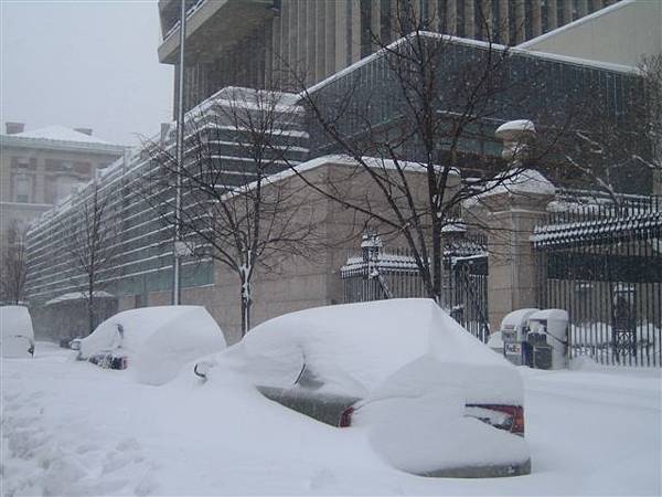 不但雪大  風也很大...車上的積雪還有「塑型」呢