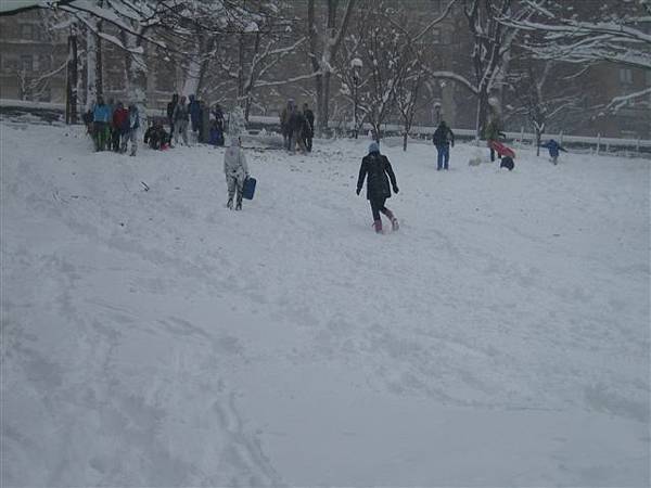 很多人一家老小出來玩滑雪