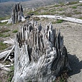 火山過後