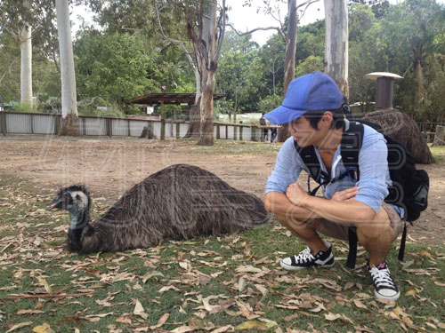 (旅遊)(澳洲)龍柏動物園