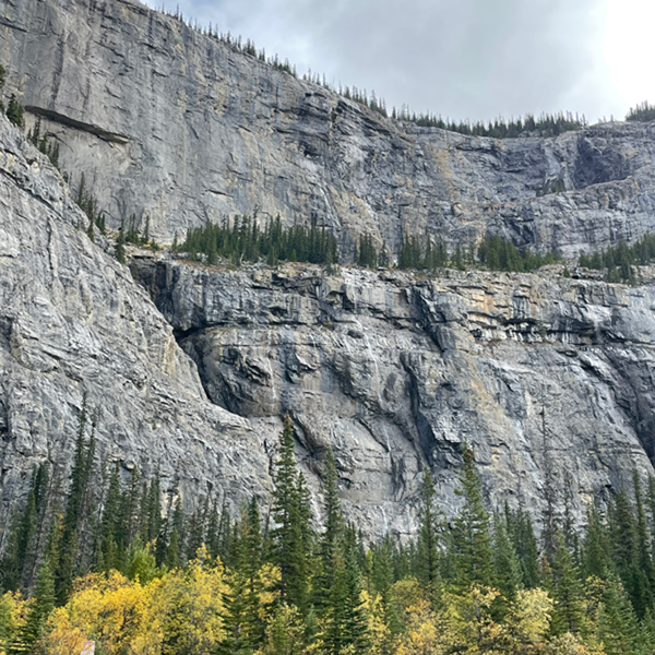 《2023.9月》洛磯山脈Day6-沛托湖Peyto Lak