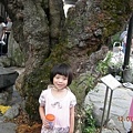 080712art12.JPG