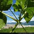 bike-tour-hualien100820084.JPG