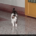 cat12012502.JPG