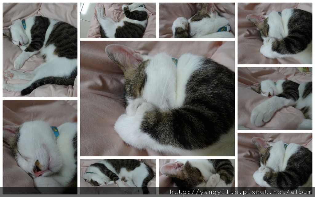 20120803kiang sleeping