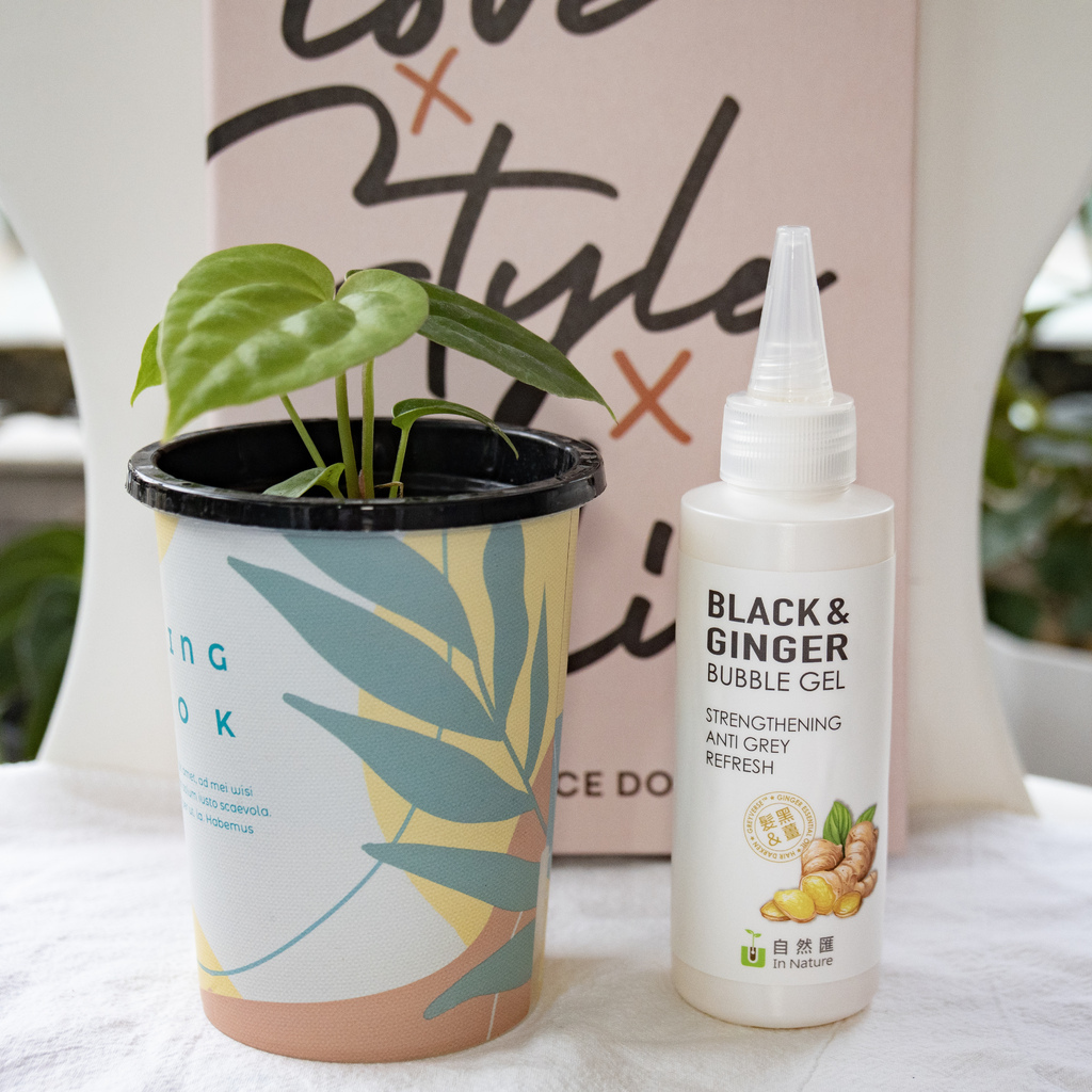 _DSC0913.jpg _DSC0913.jpg