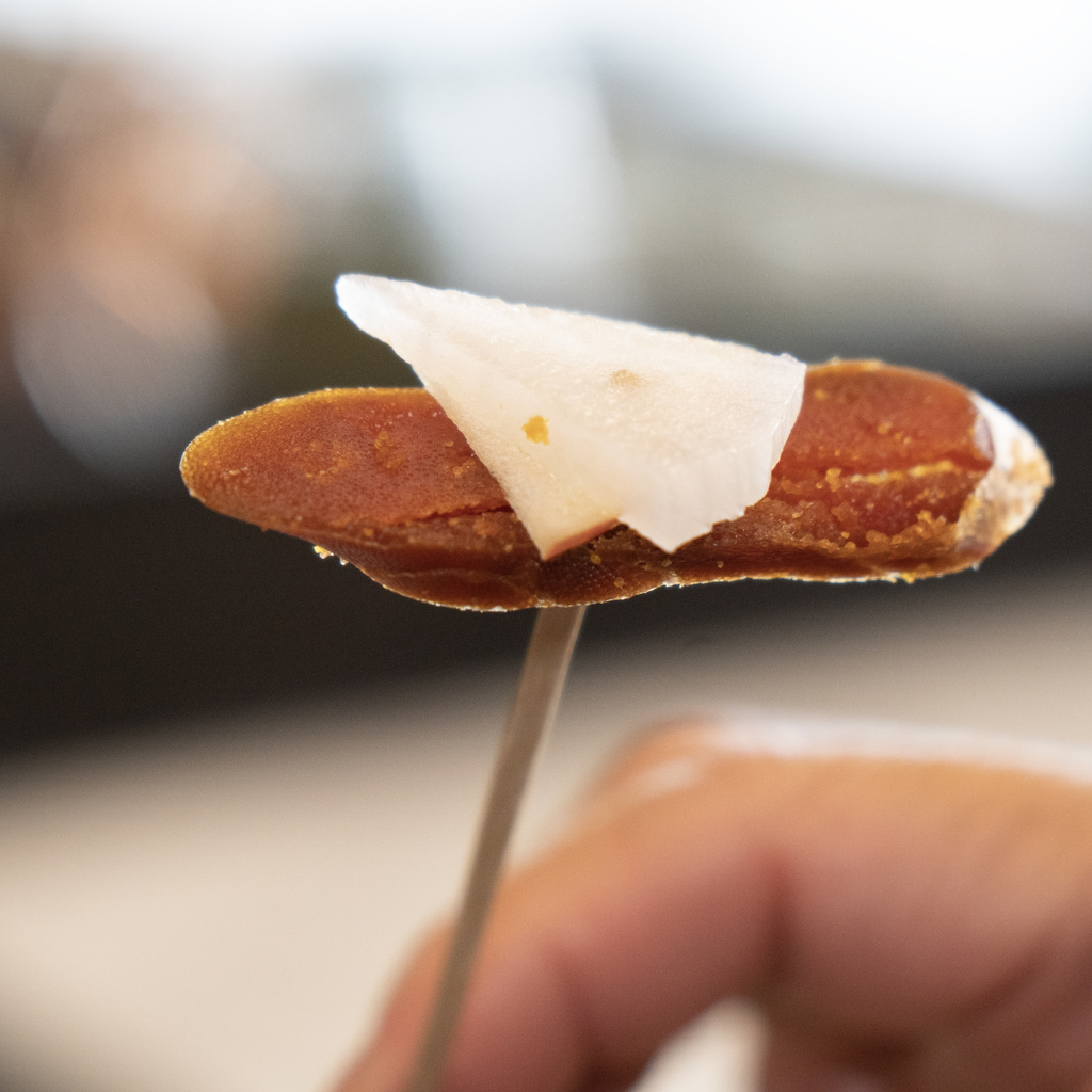 _DSC1278.jpg _DSC1278.jpg