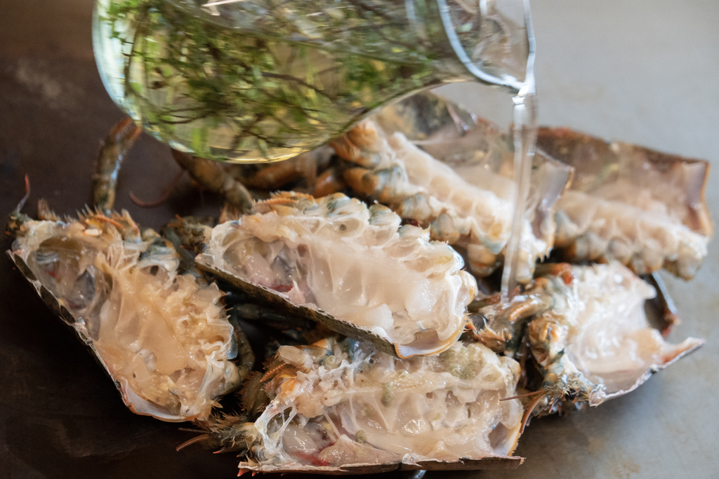 _DSC1301.jpg _DSC1301.jpg