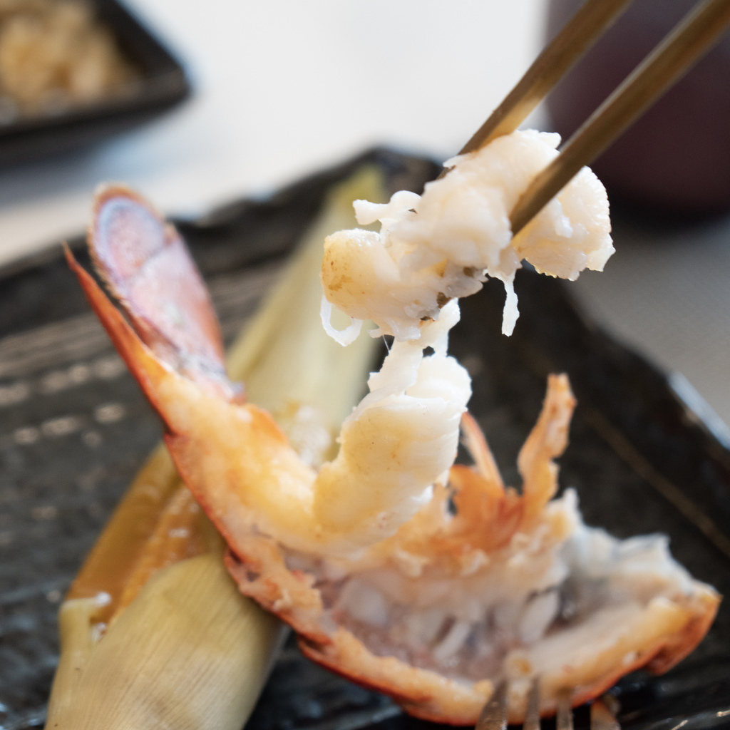 _DSC1309.jpg _DSC1309.jpg