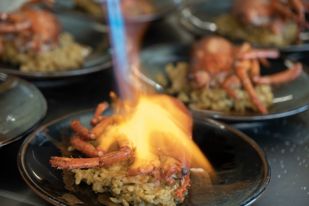 _DSC1314.jpg _DSC1314.jpg