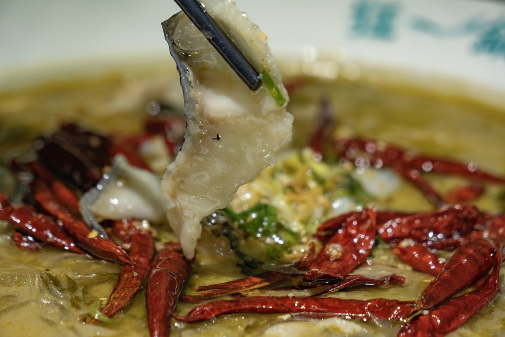 _DSC1443.jpg _DSC1443.jpg