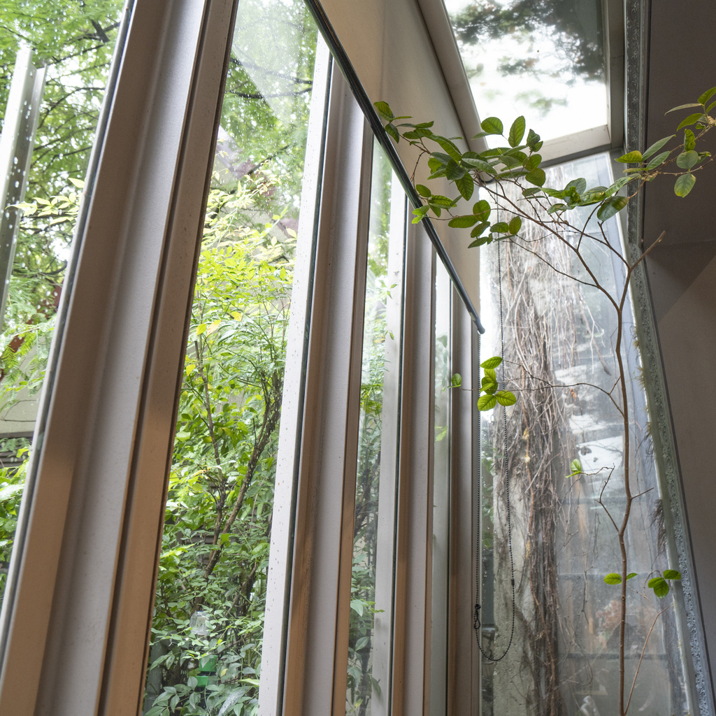 _DSC1669.jpg _DSC1669.jpg