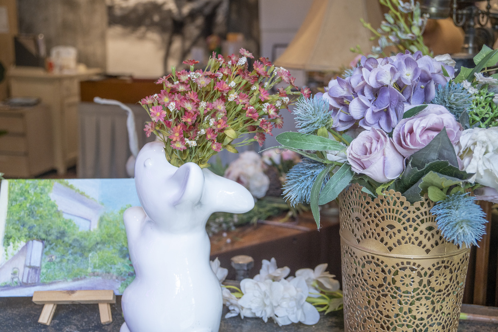 _DSC1682.jpg _DSC1682.jpg