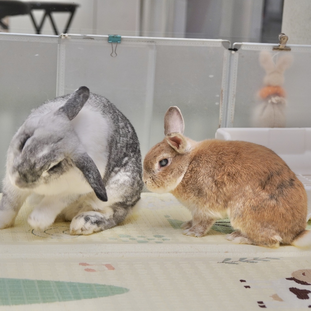 DSC01598.jpg DSC01598.jpg