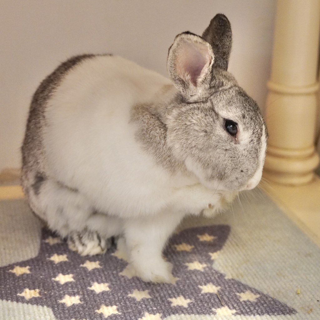 DSC01597.jpg DSC01597.jpg