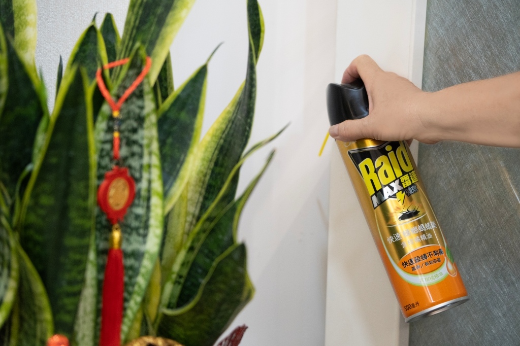 雷達Raid快速殺蟑螞蟻藥&連環殺蟑堡推薦評價開箱實測打造 雷達Raid快速殺蟑螞蟻藥&連環殺蟑堡推薦評價開箱實測打造