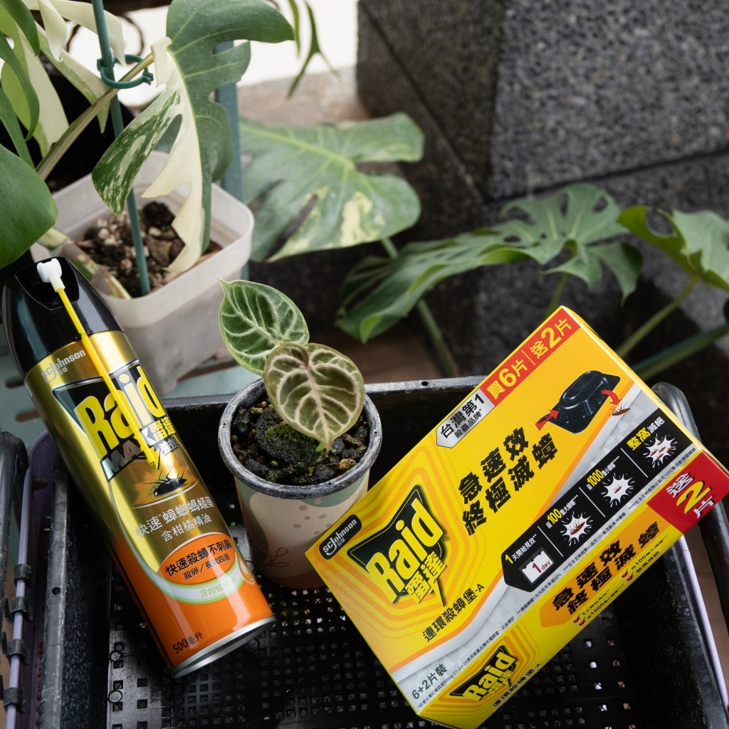 雷達Raid快速殺蟑螞蟻藥&連環殺蟑堡推薦評價開箱實測打造 雷達Raid快速殺蟑螞蟻藥&連環殺蟑堡推薦評價開箱實測打造