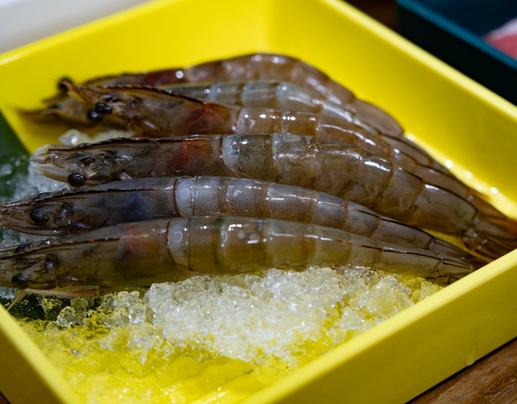 【肉多多火鍋台南新光中山店】好肉雙人餐必點!爆炒石頭湯+川府 【肉多多火鍋台南新光中山店】好肉雙人餐必點!爆炒石頭湯+川府