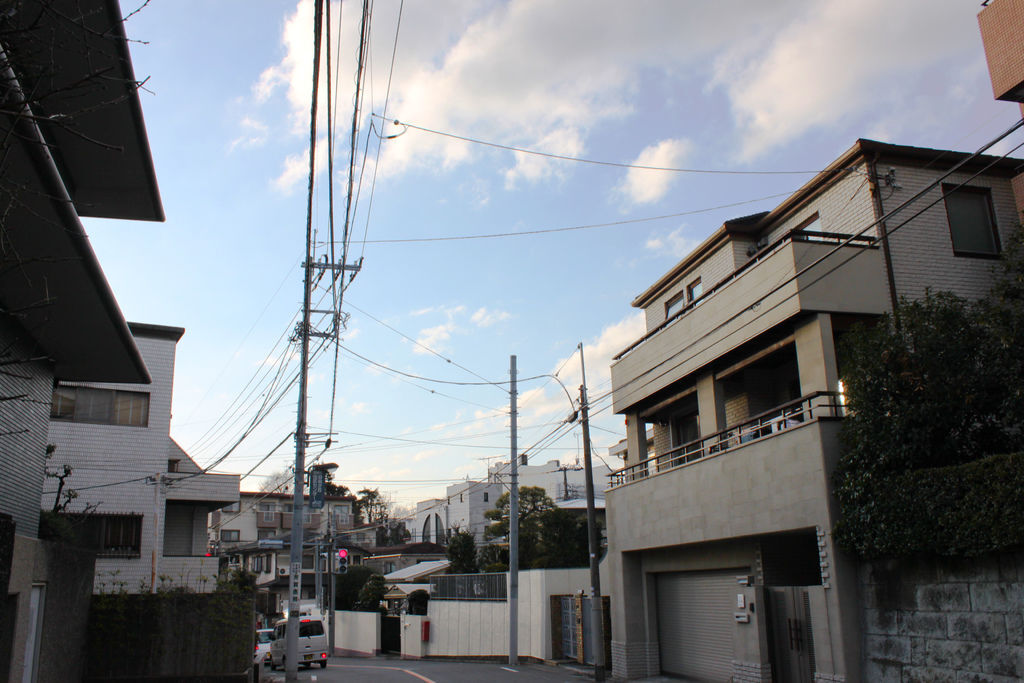 IMG_6865.JPG IMG_6865.JPG