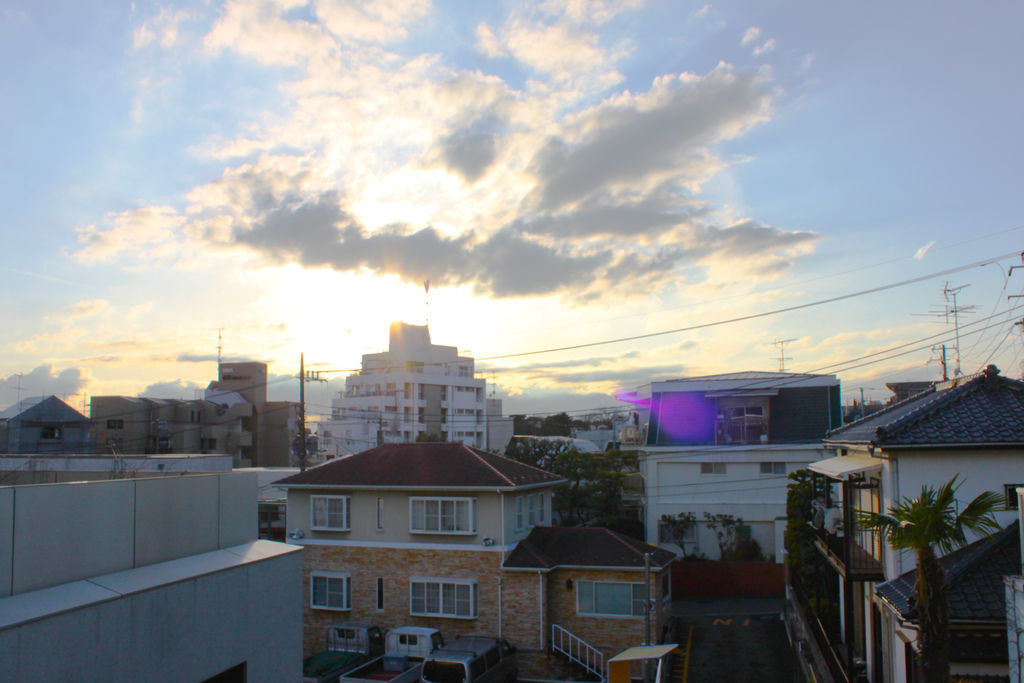 IMG_6870.JPG IMG_6870.JPG