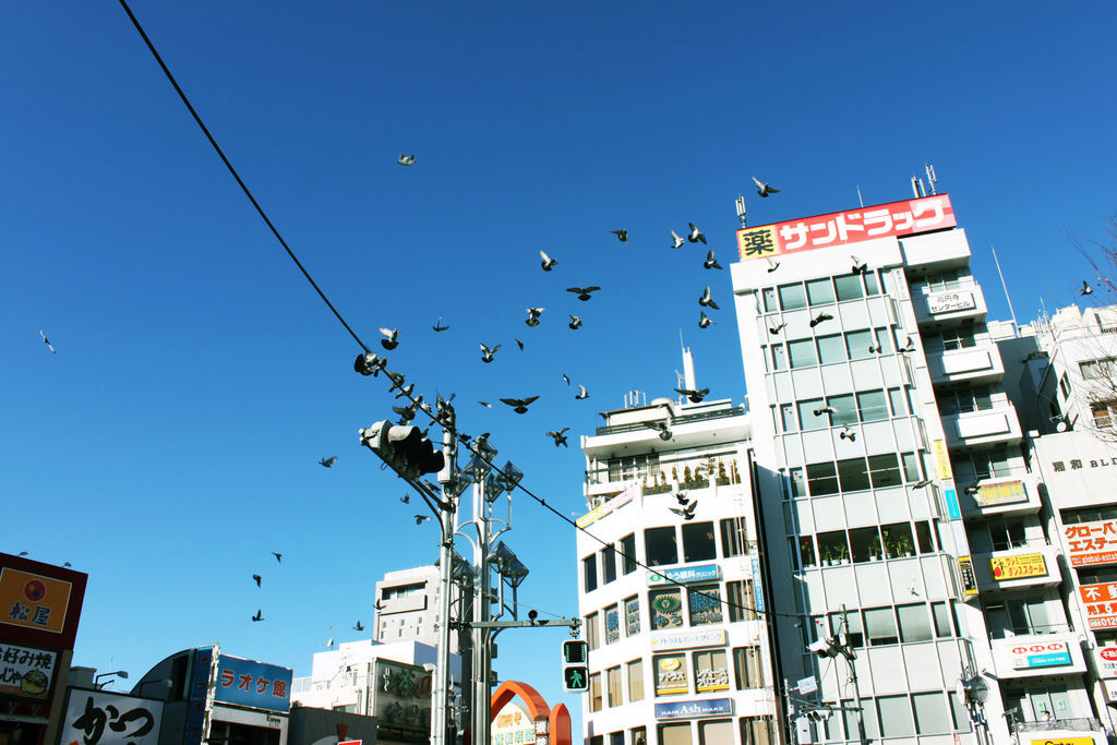 IMG_6347.JPG IMG_6347.JPG