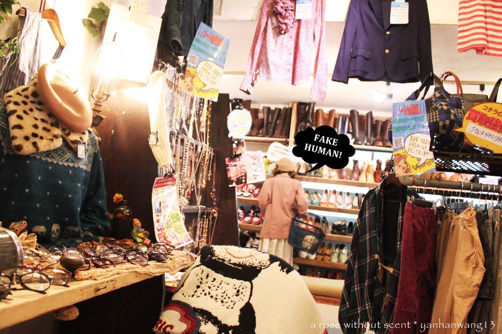 IMG_6377.JPG IMG_6377.JPG