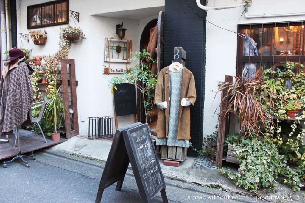 IMG_6394.JPG IMG_6394.JPG