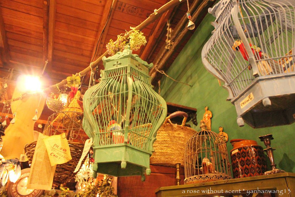 IMG_6491.JPG IMG_6491.JPG