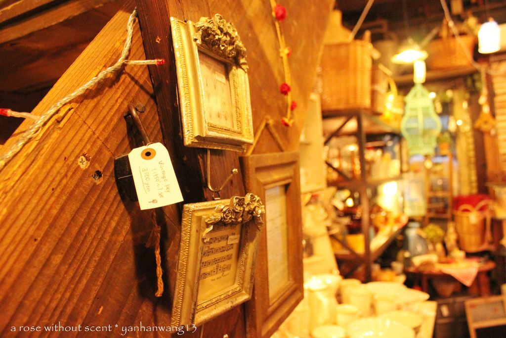 IMG_6497.JPG IMG_6497.JPG