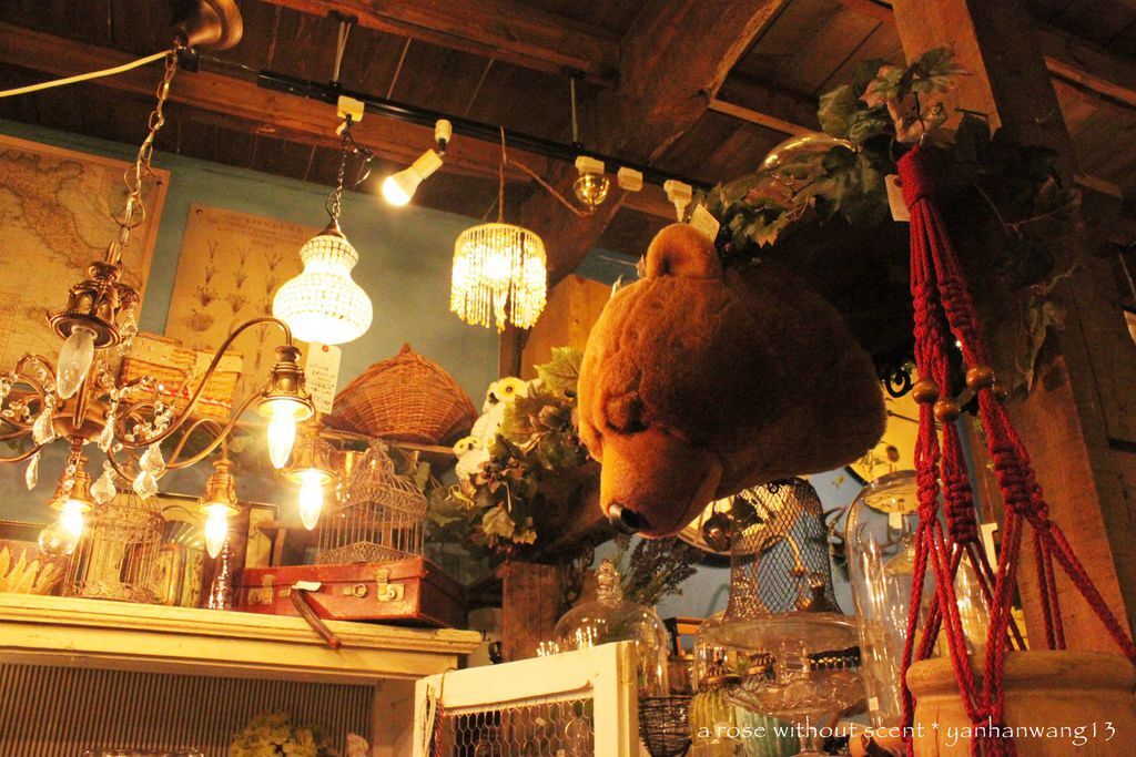 IMG_6500.JPG IMG_6500.JPG