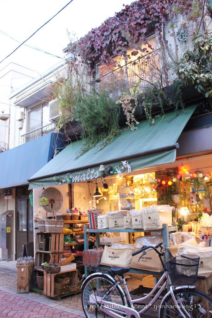 IMG_6502.JPG IMG_6502.JPG