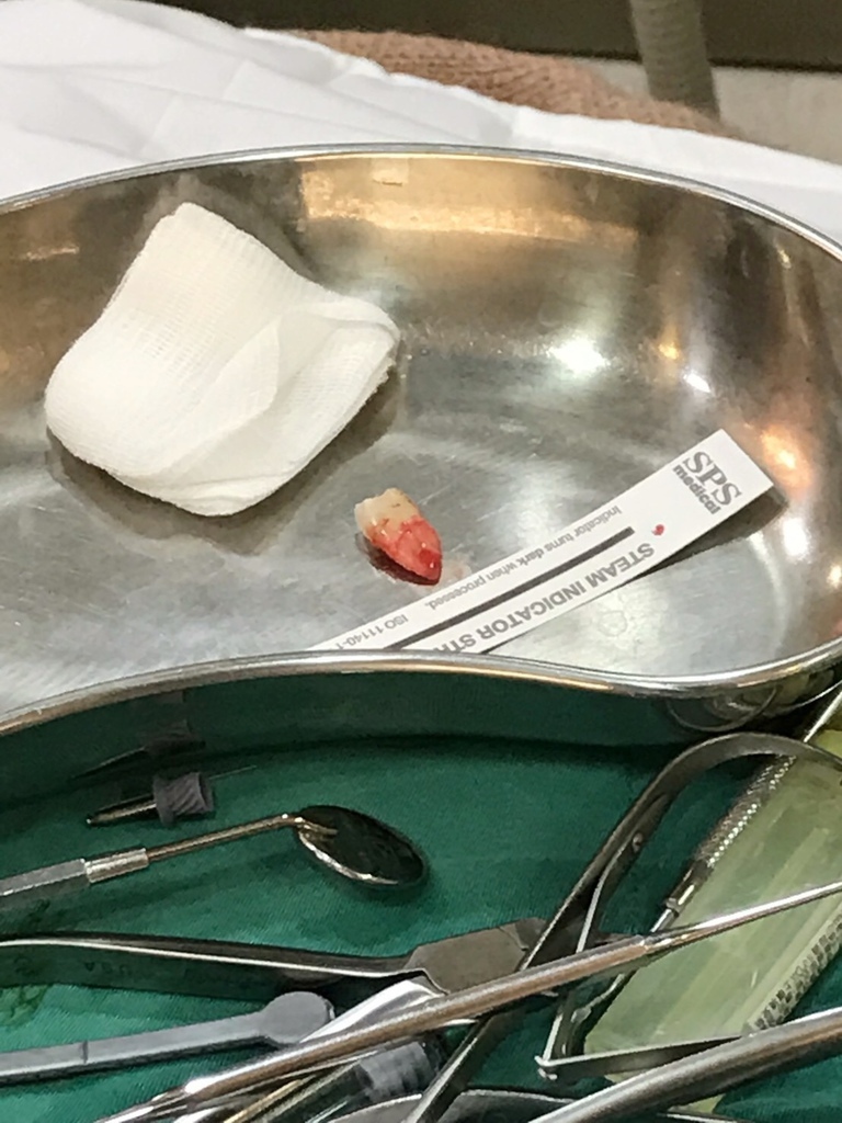 IMG_3619.JPG IMG_3619.JPG