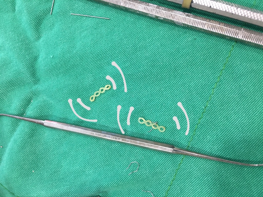 IMG_5895.JPG IMG_5895.JPG