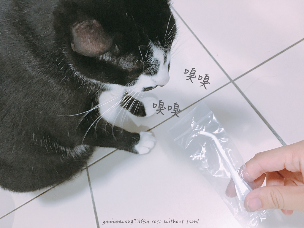 IMG_7614.JPG IMG_7614.JPG