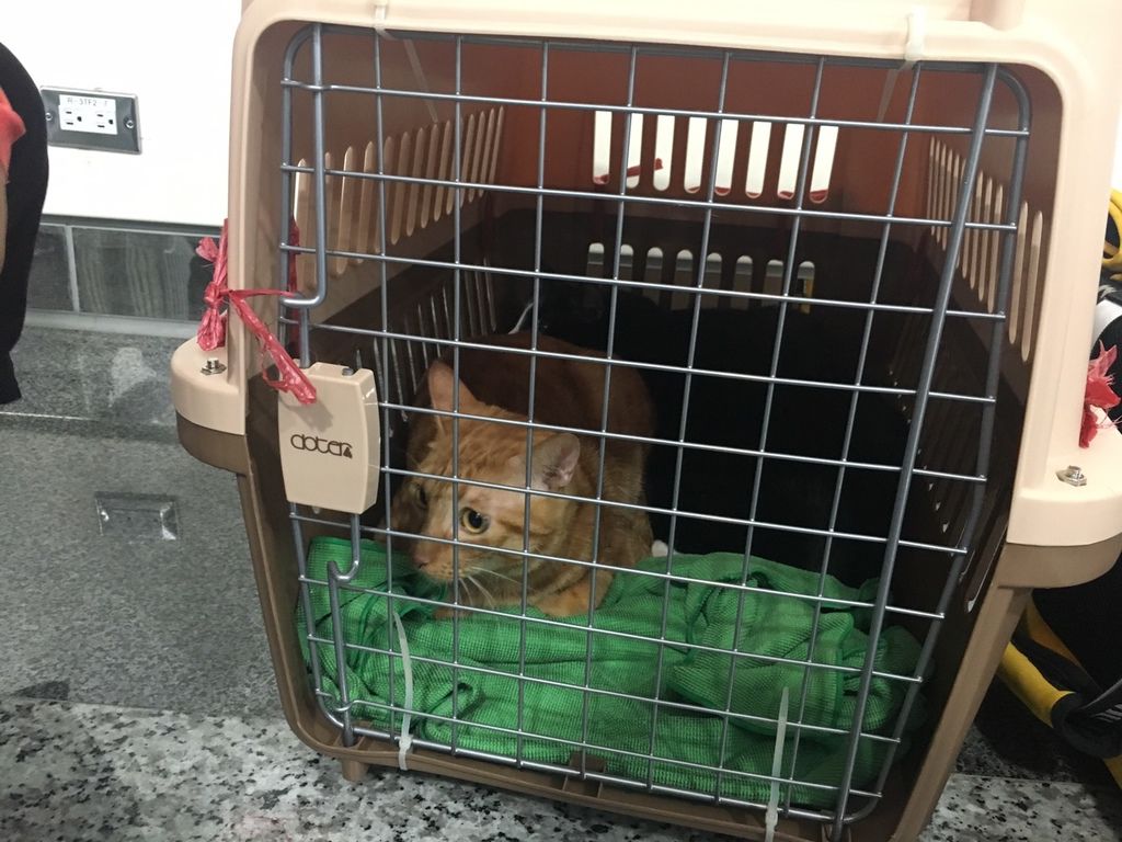 S__23027833.jpg S__23027833.jpg