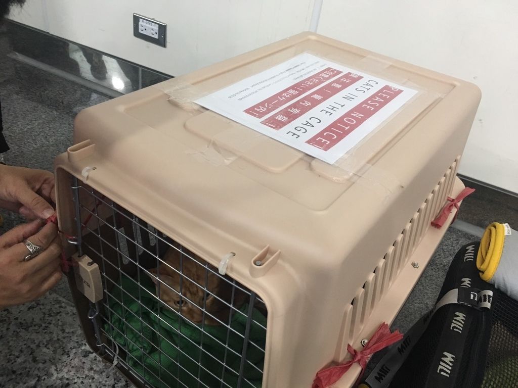 S__23027834.jpg S__23027834.jpg