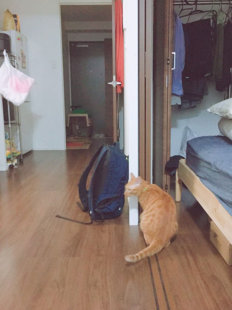 S__23027832.jpg S__23027832.jpg