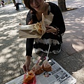 DSC02270.JPG