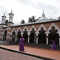 DSC02451.JPG
