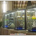 義大皇冠IMG_2005_600.jpg