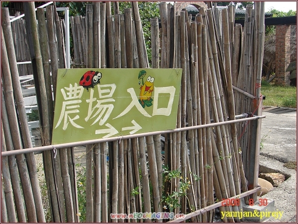 DSC04443往林家古厝.jpg