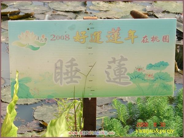 DSC04483林家古厝.jpg
