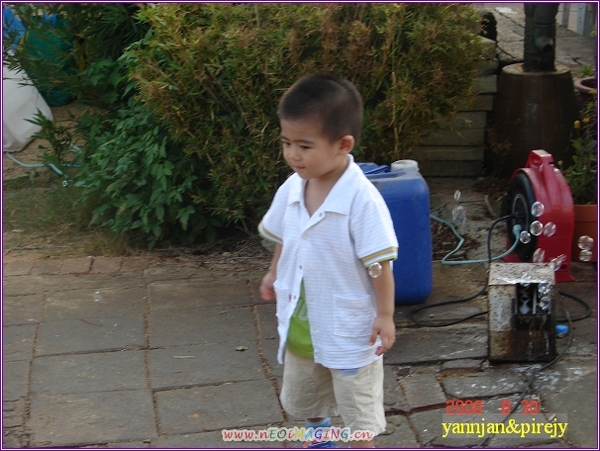 DSC04526向陽農場.jpg