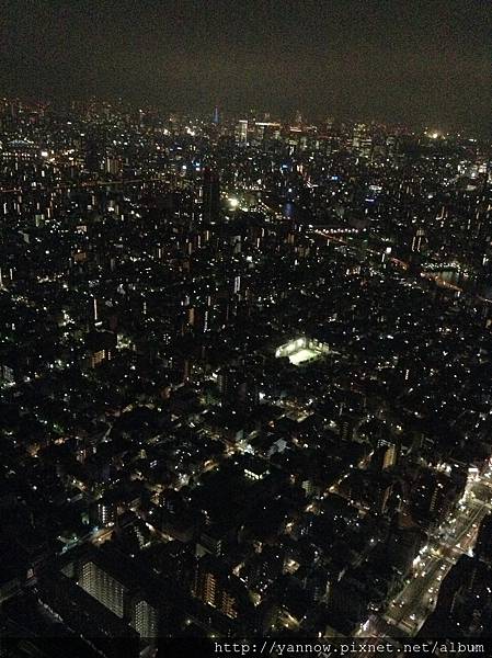 夜景