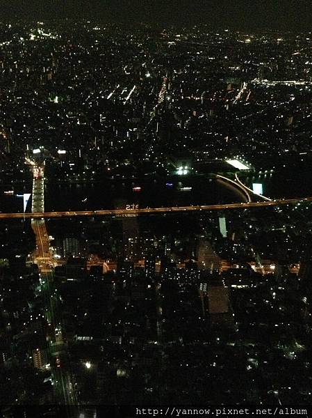 夜景
